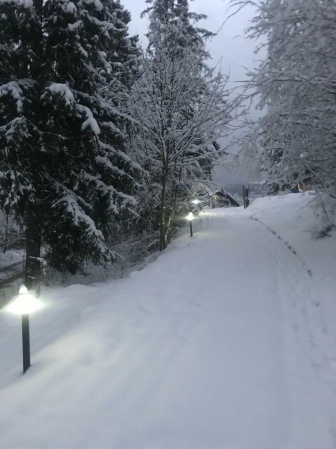 Chata Pod Gorka Wisla Exterior photo